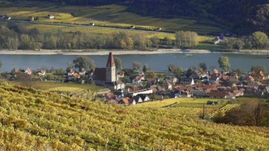 Weissenkirchen im Herbst bezaubert mit strahlenden Farben und einem einzigartigen Landschaftsbild. 