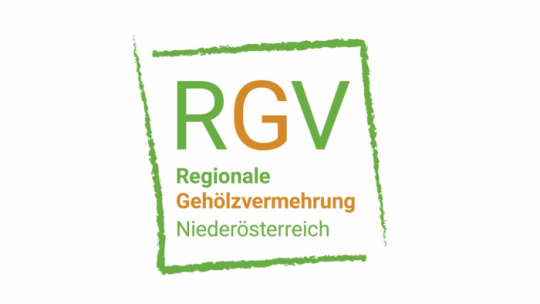 Logo RGV